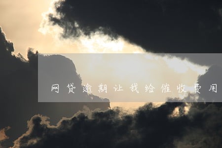 网贷逾期让我给催收费用 网贷逾期让我给催收费用