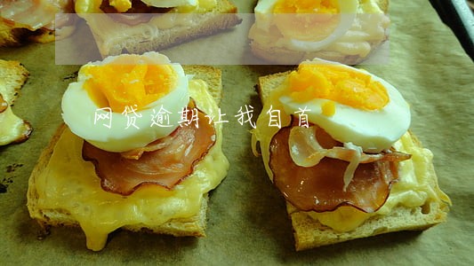 网贷逾期让我自首