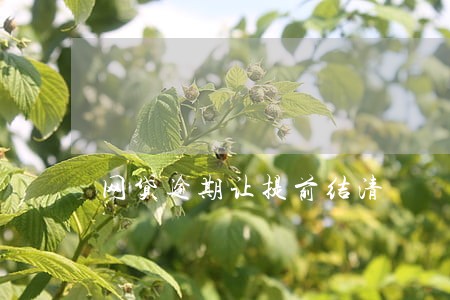 网贷逾期让提前结清 网贷逾期让提前结清