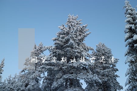 网贷逾期让提前还清 网贷逾期让提前还清