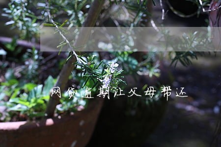 网贷逾期让父母帮还 网贷逾期让父母帮还