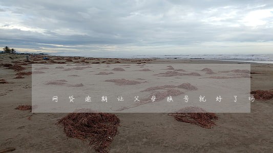 网贷逾期让父母换号就好了吗 网贷逾期让父母换号就好了吗