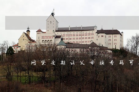 网贷逾期让父母换号码可以吗 网贷逾期让父母换号码可以吗
