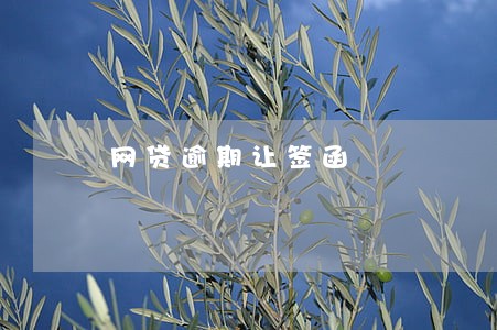 网贷逾期让签函