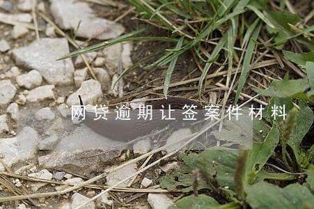网贷逾期让签案件材料 网贷逾期让签案件材料