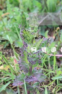 网贷逾期让转对公账户 网贷逾期让转对公账户