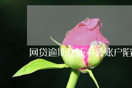 网贷逾期让还对公账户陷阱 网贷逾期让还对公账户陷阱