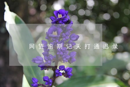 网贷逾期记天打通迅录 网贷逾期记天打通迅录
