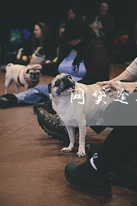 网贷逾期记录会上征信吗 网贷逾期记录会上征信吗