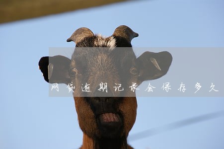 网贷逾期记录会保存多久 网贷逾期记录会保存多久