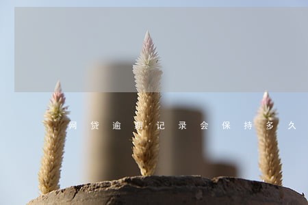 网贷逾期记录会保持多久 网贷逾期记录会保持多久