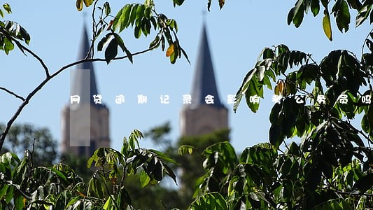 网贷逾期记录会影响考公务员吗 网贷逾期记录会影响考公务员吗
