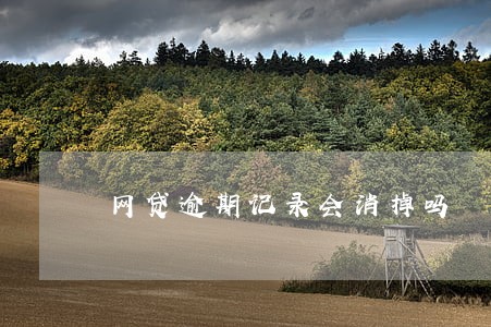 网贷逾期记录会消掉吗 网贷逾期记录会消掉吗