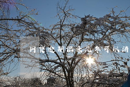 网贷逾期记录几年可以消除 网贷逾期记录几年可以消除