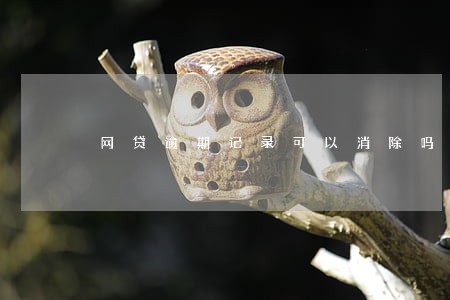 网贷逾期记录可以消除吗 网贷逾期记录可以消除吗