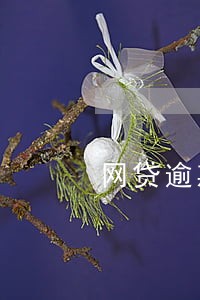 网贷逾期记录可以贷款吗 网贷逾期记录可以贷款吗