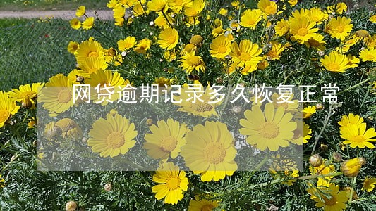 网贷逾期记录多久恢复正常 网贷逾期记录多久恢复正常