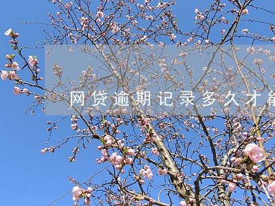 网贷逾期记录多久才能消除 网贷逾期记录多久才能消除
