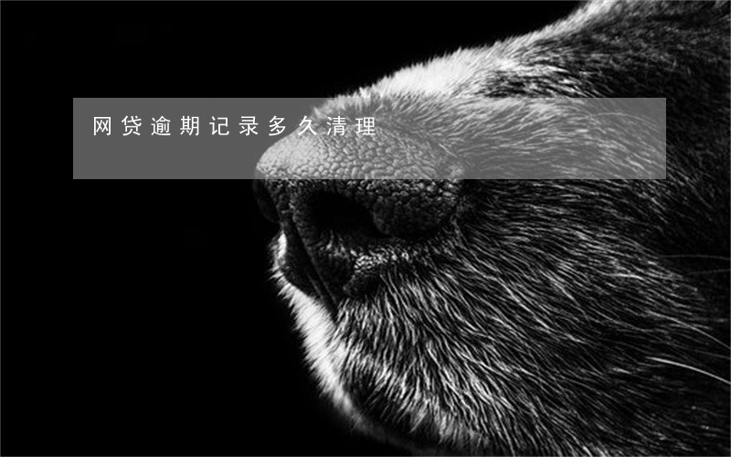 网贷逾期记录多久清理 网贷逾期记录多久清理
