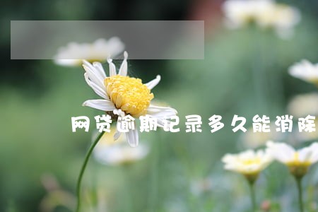 网贷逾期记录多久能消除 网贷逾期记录多久能消除