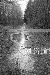网贷逾期记录多久自动消除 网贷逾期记录多久自动消除