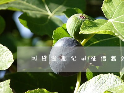 网贷逾期记录征信怎么显示