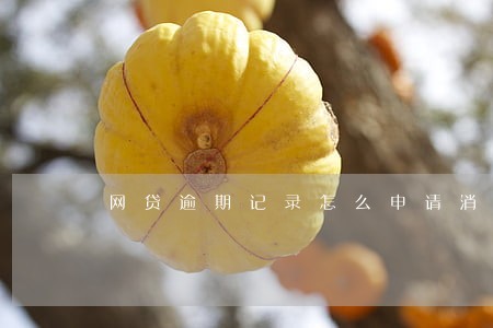 网贷逾期记录怎么申请消除 网贷逾期记录怎么申请消除