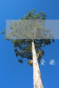网贷逾期记录有多久 网贷逾期记录有多久