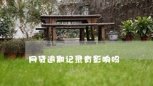 网贷逾期记录有影响吗 网贷逾期记录有影响吗