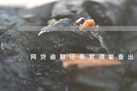 网贷逾期记录背调能查出来吗 网贷逾期记录背调能查出来吗