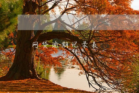 网贷逾期记录表 网贷逾期记录表