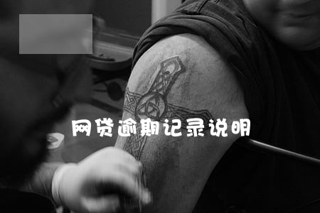 网贷逾期记录说明