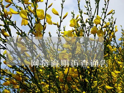 网贷逾期访查通告 网贷逾期访查通告