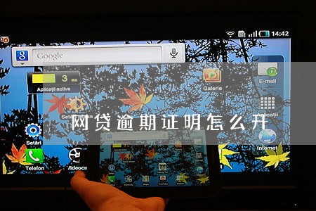网贷逾期证明怎么开