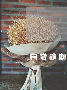 网贷逾期证明负债多盖村委会章 网贷逾期证明负债多盖村委会章