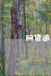 网贷逾期评分 网贷逾期评分