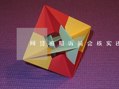 网贷逾期诉前会核实还款能力吗 网贷逾期诉前会核实还款能力吗