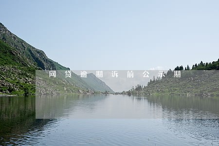 网贷逾期诉前公示期 网贷逾期诉前公示期