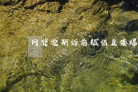 网贷逾期诉前短信直接爆给朋友 网贷逾期诉前短信直接爆给朋友