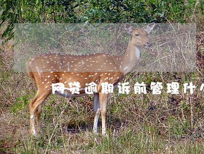 网贷逾期诉前管理什么意思 网贷逾期诉前管理什么意思