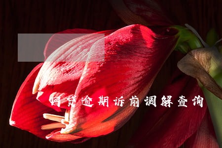 网贷逾期诉前调解查询 网贷逾期诉前调解查询
