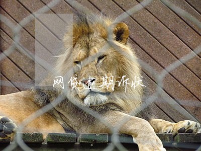 网贷逾期诉状 网贷逾期诉状