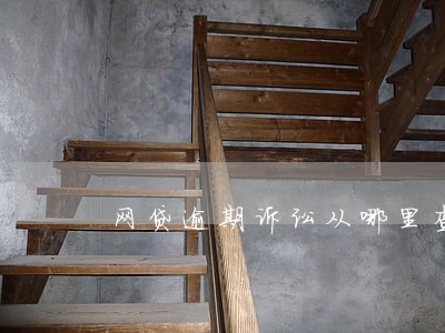 网贷逾期诉讼从哪里查看 网贷逾期诉讼从哪里查看
