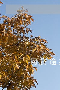 网贷逾期诉讼函发到村里 网贷逾期诉讼函发到村里