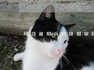 网贷逾期诉讼排期审核什么意思 网贷逾期诉讼排期审核什么意思