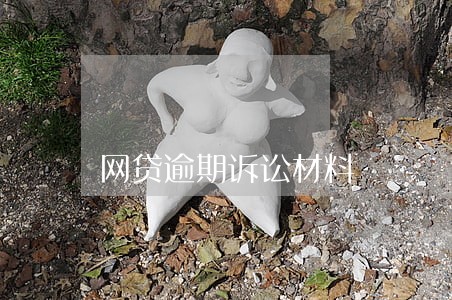 网贷逾期诉讼材料 网贷逾期诉讼材料