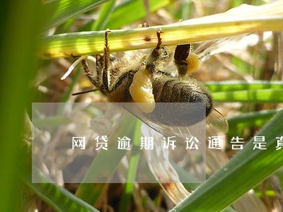 网贷逾期诉讼通告是真是假 网贷逾期诉讼通告是真是假