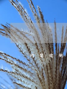 网贷逾期诉讼部门诉讼后果 网贷逾期诉讼部门诉讼后果