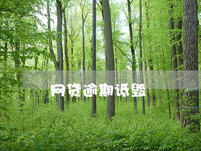 网贷逾期诋毁 网贷逾期诋毁