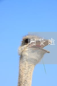 网贷逾期询问家人信息 网贷逾期询问家人信息